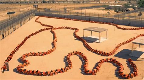 der menschliche tausendfüßler 3|The Human Centipede 3: The Final Sequence (2015)